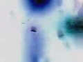 a video i made recently using only a mobile phone to film with