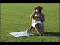 tea party