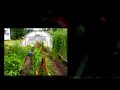 http://www.greenhousetoolbox.com Home-built hoophouse in BC, Canada