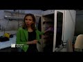 Smart Science: Dry Cleaning