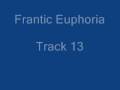 Frantic Euphoria