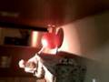 Drunken Idiot Rams Into Wall