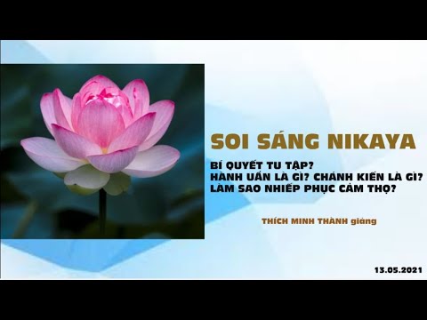 Soi Sáng NIKAYA - Bí Quyết Tu Tập  ? Hành Uẩn Là Gì ? Chánh Kiến Là Gì ? Làm Sao Nhiếp Phục Cảm Thọ?