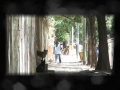 Barbara Luna - Clip Amanece