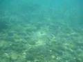 videos de UnderWater Adventures, Part. 3: The Rock