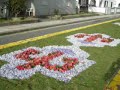 ALFOMBRAS FLORALES EN FOZ
