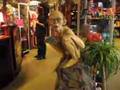 the weta Cave