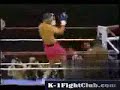 Spinning Backfist K.O