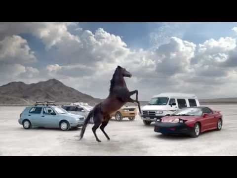 horses grand national horses grand national