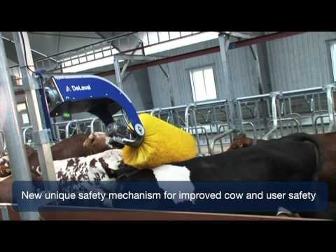 DeLaval swinging cow brush
