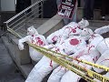 ARAN Supporters Stage Die-in On Steps of Australian Embassy