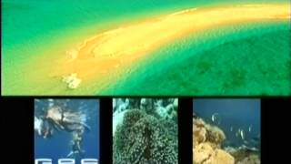 Introducing the amazing Gili Islands of Lombok and Indonesian Yacht Charter