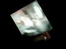 doum� le poisson