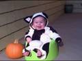 videos de Halloween Cutie