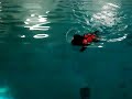 Archie goes swimming and does a u-turn