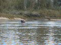 Wapiti Couch Raft 2