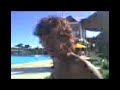 los-pibes-de-banco-hipotecario-tenis-pro.html