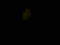 videos de *bHZ!@Clan En Santiago!