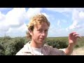 The kitebuggy experience The kitebuggy experience