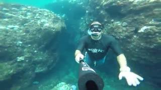 super cool okinawa free dive experience snorkeling tour . watersport experience school and tour