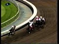 http://www.horseracefever.com

buddy gil, indian express, kafwain, ocean terrace, domestic dispute and others battle it out...