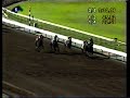 http://www.horseracefever.com

buddy gil, indian express, kafwain, ocean terrace, domestic dispute and others battle it out...