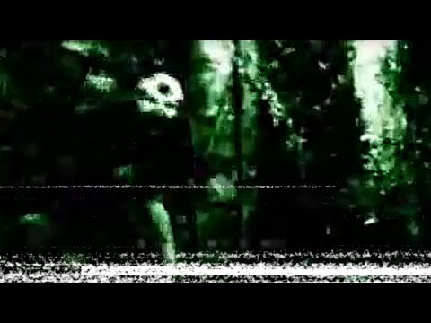 Rare Alien Sighting - Spartanburg, SC