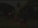 WTFBOOM.wmv