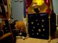 Puppet Show PRACTISE of Little Boy that Santa Claus forgot