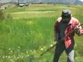 çıralı, şadut düzler, tirpanla ot nasıl biçilir