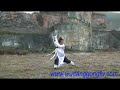 WuDang Kung Fu--8 Immortal Sword WuDang Kung Fu--8 Immortal Sword