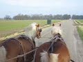 nieuwkerk-goirle.WMV