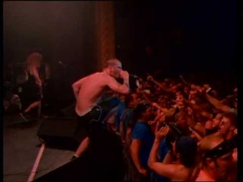 pantera
