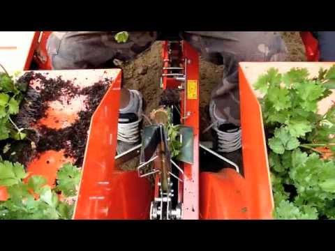 planteuse - plantation en motte sur deux lignes avec système à pince. euroagrimat.fr.
