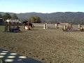 popcorn and i hunters