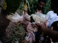 sobrevivencia na selva