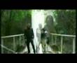 Clip Soundkaïl - Fleur Tropicale