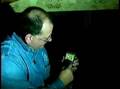 Attic Moisture and Temperature Testing