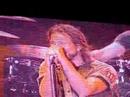 Pearl Jam live and Alive