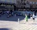 Siena
