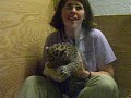 Saint Louis Zoo - Baby Amur Leopard
