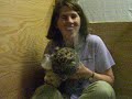 Saint Louis Zoo - Baby Amur Leopard