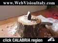 Italy Art - Mosaics of Calabria