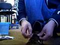 Shoe Laces 