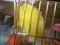 videos de 090105_0827~0001.m4v