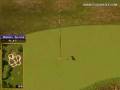 Golden Tee Great Shot on Sunny Wood!