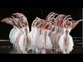 Tchaikovsky- Danse De La Fee-dragee