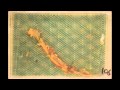 Lamprey Decay