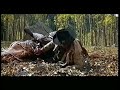 Nido Del Cuculo - Il Cavallo Guasto