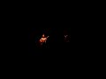 teledysk, klip, Ani Difranco,- Everest